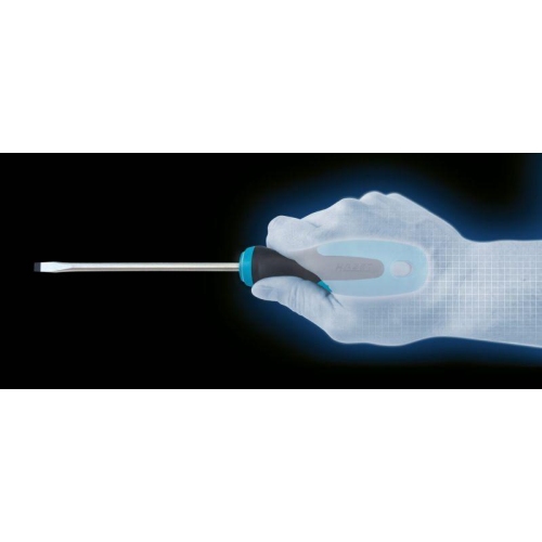 Schraubendrehersatz HAZET 810/6PZ für