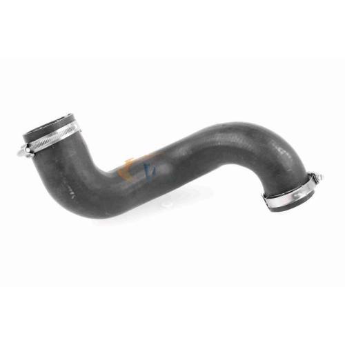 Ladeluftschlauch VAICO V48-0072 Q+, Erstausrüsterqualität für LAND ROVER