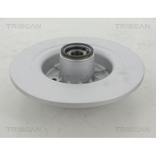 TRISCAN 8120 25176c 2 St&uuml;ck Bremsscheiben COATED f&uuml;r RENAULT, Hinterachse