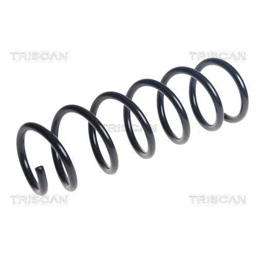 Fahrwerksfeder TRISCAN 8750 11265 für BMW, Hinterachse