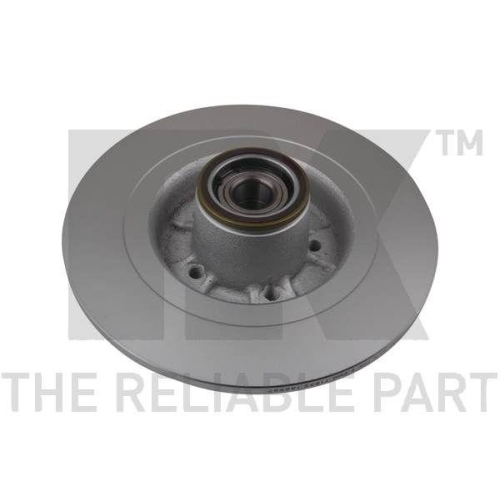 NK 313986 2 St&uuml;ck Bremsscheiben f&uuml;r RENAULT, Hinterachse