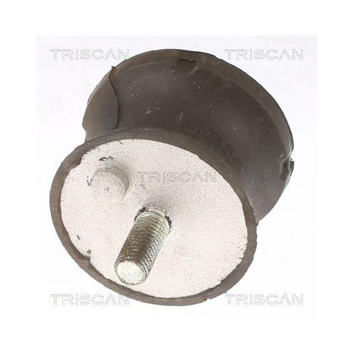 Lagerung, Automatikgetriebe TRISCAN 8505 11201 für BMW, Hinterachse beidseitig