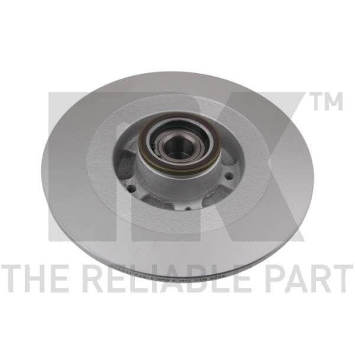 NK 313989 2 St&uuml;ck Bremsscheiben f&uuml;r RENAULT, Hinterachse