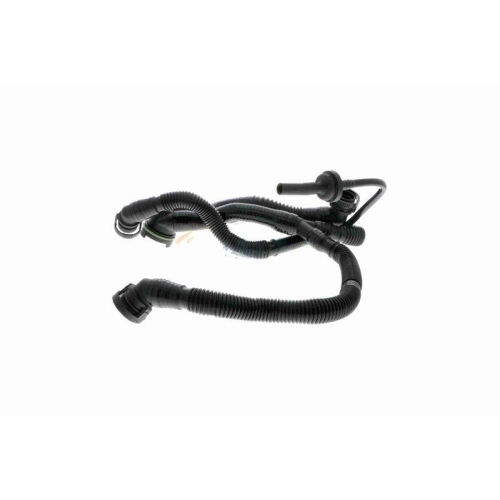 Schlauch, Kurbelgeh&auml;useentl&uuml;ftung VAICO V10-3505 Original VAICO Qualit&auml;t f&uuml;r VW