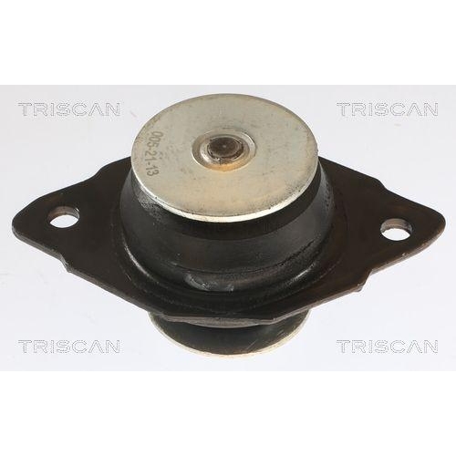 Lagerung, Motor TRISCAN 8505 29161 f&uuml;r SEAT SKODA VW, hinten, unten