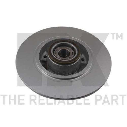 NK 313993 2 St&uuml;ck Bremsscheiben f&uuml;r RENAULT, Hinterachse