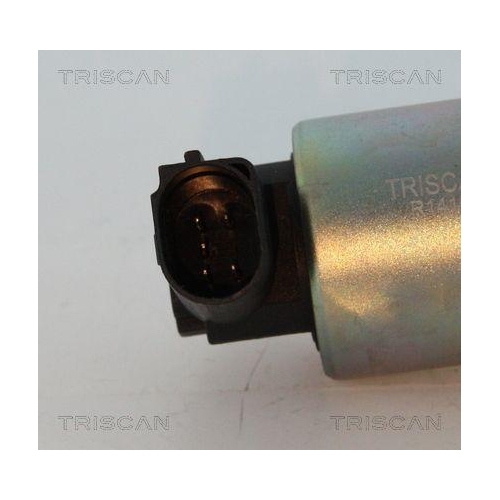 AGR-Ventil TRISCAN 8813 29044 f&uuml;r SEAT SKODA VW