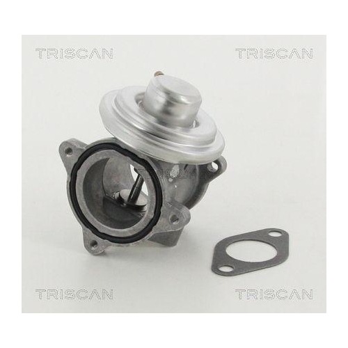 AGR-Ventil TRISCAN 8813 29011 f&uuml;r AUDI SEAT SKODA VW