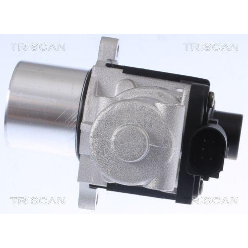 AGR-Ventil TRISCAN 8813 29015 f&uuml;r AUDI VW