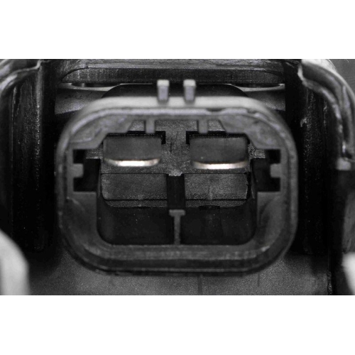 Lüfter, Motorkühlung VEMO V22-01-1737 Original VEMO Qualität für CITROËN PEUGEOT