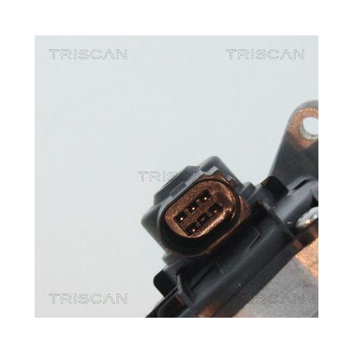 AGR-Ventil TRISCAN 8813 29017 f&uuml;r AUDI SKODA VW