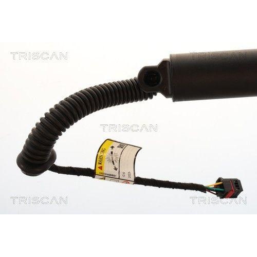 TRISCAN 8710 29343 Gasfeder, Koffer-/Laderaum f&uuml;r VW, links, rechts