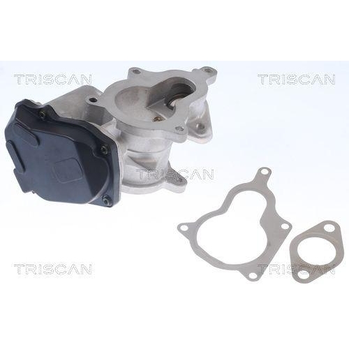 AGR-Ventil TRISCAN 8813 29019 f&uuml;r AUDI VW