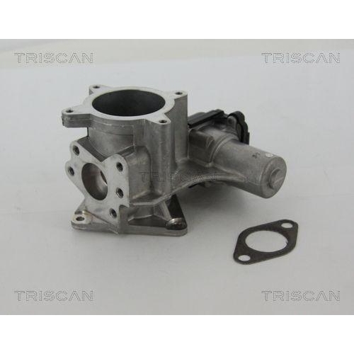 AGR-Ventil TRISCAN 8813 29105 f&uuml;r VW