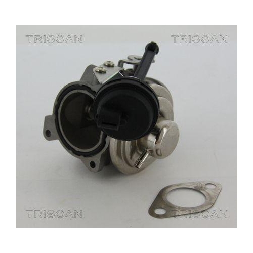 AGR-Ventil TRISCAN 8813 29022 f&uuml;r AUDI SEAT VW, rechts