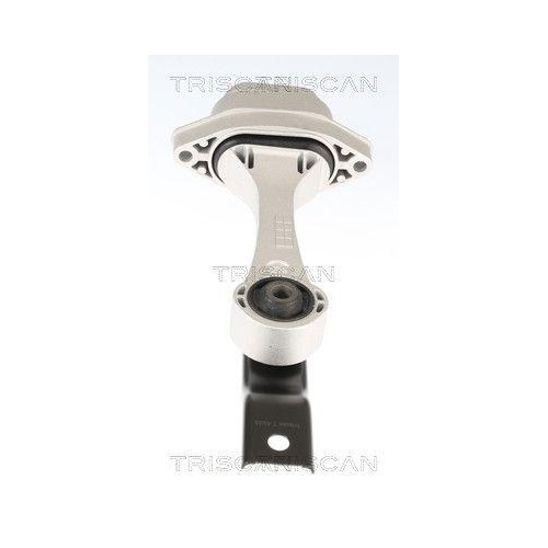 Lagerung, Motor TRISCAN 8505 29172 f&uuml;r AUDI VW, hinten