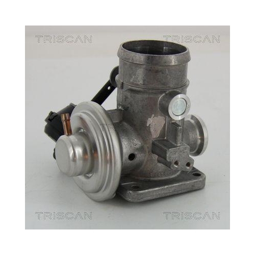 AGR-Ventil TRISCAN 8813 29300 f&uuml;r VW