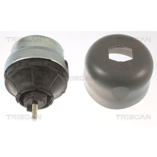 Lagerung, Motor TRISCAN 8505 29177 f&uuml;r AUDI SEAT SKODA VW, links, rechts, vorne