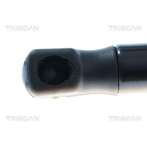 Gasfeder, Koffer-/Laderaum TRISCAN 8710 292082 f&uuml;r AUDI, hinten links