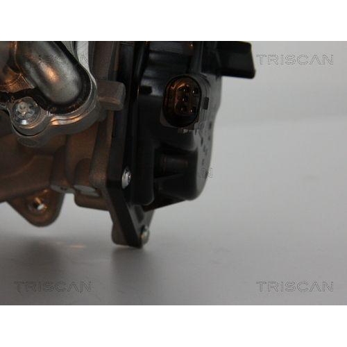 AGR-Ventil TRISCAN 8813 29304 für AUDI VW