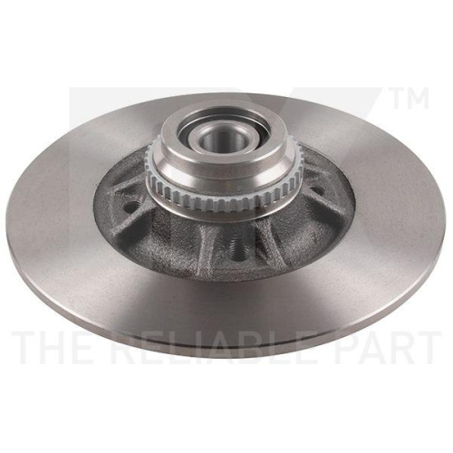 NK 203945 2 St&uuml;ck Bremsscheiben f&uuml;r RENAULT, Hinterachse