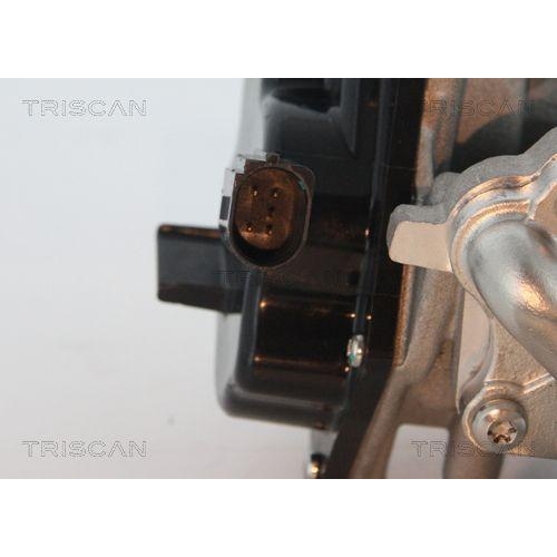 AGR-Ventil TRISCAN 8813 29305 f&uuml;r VW