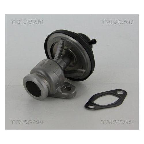 AGR-Ventil TRISCAN 8813 29307 f&uuml;r VW