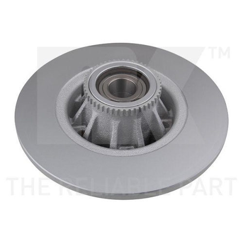 NK 313658 2 St&uuml;ck Bremsscheiben f&uuml;r NISSAN OPEL RENAULT VAUXHALL, Hinterachse