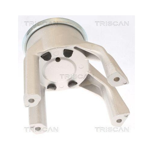 Lagerung, Motor TRISCAN 8505 29187 f&uuml;r VW, hinten, rechts, unten