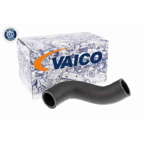 Ladeluftschlauch VAICO V24-0695 Q+, Erstausr&uuml;sterqualit&auml;t f&uuml;r FIAT