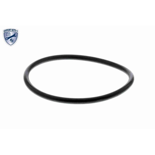 Hydraulikfilter, Automatikgetriebe VAICO V10-3018 EXPERT KITS + für AUDI PORSCHE