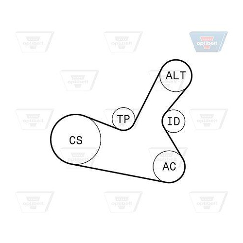 Keilrippenriemensatz OPTIBELT 5 PK 1300KT1 Optibelt-RBK KIT f&uuml;r AUDI SKODA VW