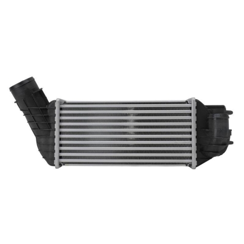 HELLA 8ML 366 341-781 Ladeluftk&uuml;hler f&uuml;r CITRO&Euml;N PEUGEOT DS