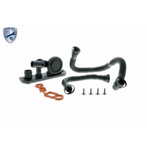 Reparatursatz, Kurbelgeh&auml;useentl&uuml;ftung VAICO V10-3246 EXPERT KITS + f&uuml;r AUDI VW