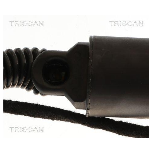 Gasfeder, Koffer-/Laderaum TRISCAN 8710 29323 für VW, links