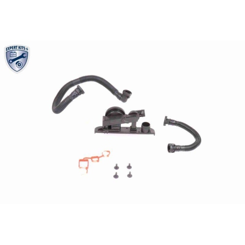 Reparatursatz, Kurbelgeh&auml;useentl&uuml;ftung VAICO V10-3247 EXPERT KITS + f&uuml;r AUDI VW