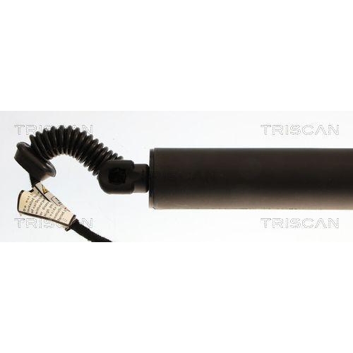 Gasfeder, Koffer-/Laderaum TRISCAN 8710 29324 f&uuml;r AUDI, links, rechts