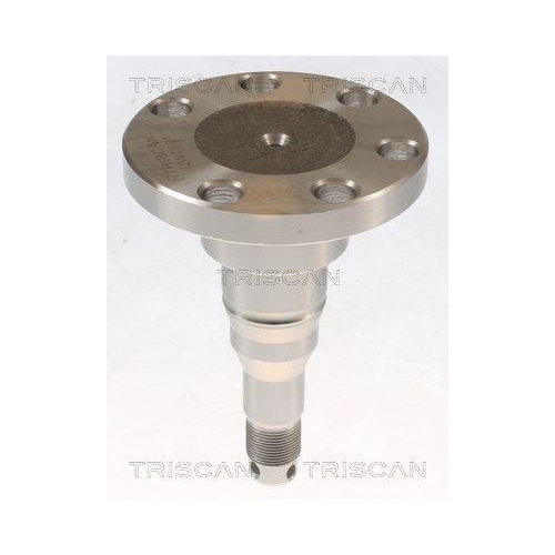 Radnabe TRISCAN 8535 29009 f&uuml;r AUDI SEAT SKODA VW, Hinterachse