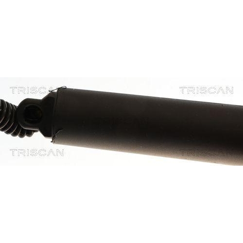 Gasfeder, Koffer-/Laderaum TRISCAN 8710 29325 für CUPRA