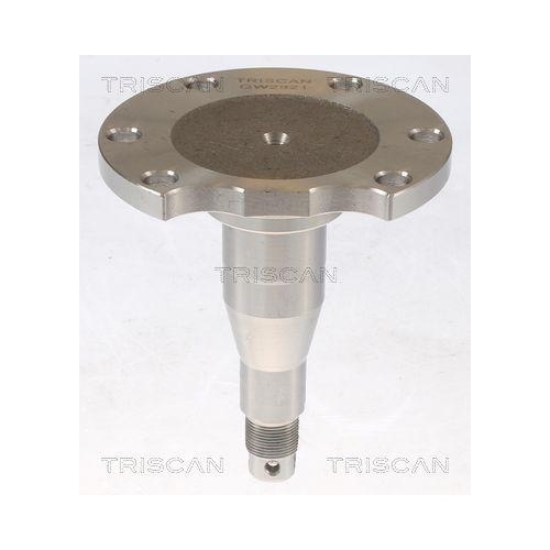 Radnabe TRISCAN 8535 29010 f&uuml;r AUDI SEAT VW, Hinterachse