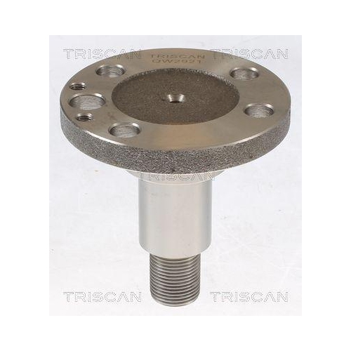 Radnabe TRISCAN 8535 29013 für AUDI SEAT SKODA VW, Hinterachse