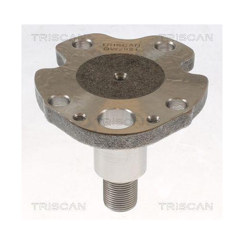 Radnabe TRISCAN 8535 29014 für AUDI SEAT SKODA VW, Hinterachse