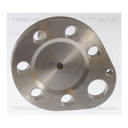 Radnabe TRISCAN 8535 29015 für AUDI SEAT SKODA VW, Hinterachse