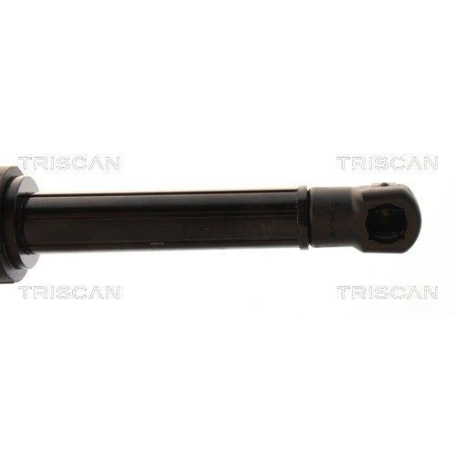 TRISCAN 8710 11378 Gasfeder, Koffer-/Laderaum f&uuml;r BMW, links, rechts