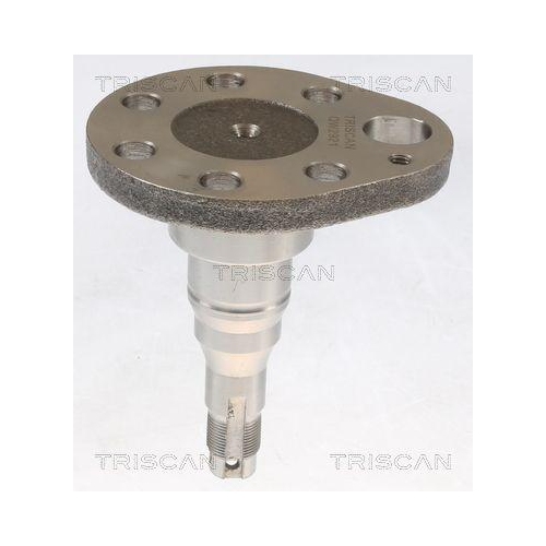 Radnabe TRISCAN 8535 29016 f&uuml;r SEAT SKODA VW, Hinterachse