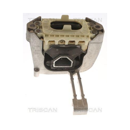 Lagerung, Motor TRISCAN 8505 29164 f&uuml;r AUDI SEAT SKODA VW, rechts