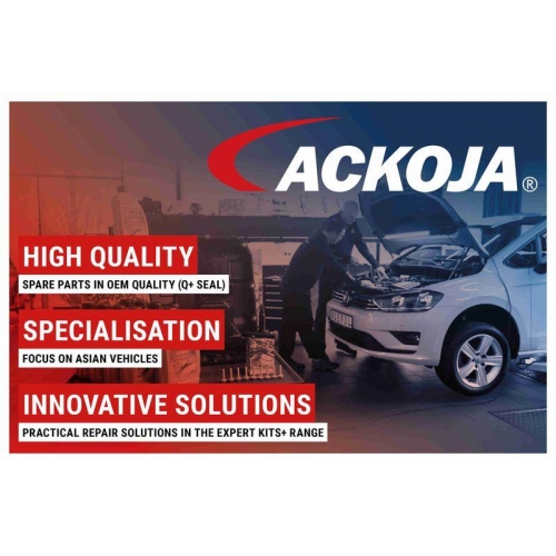 ACKOJA A70-08-0087 Waschwasserd&uuml;se, Scheinwerferreinigung f&uuml;r TOYOTA LEXUS