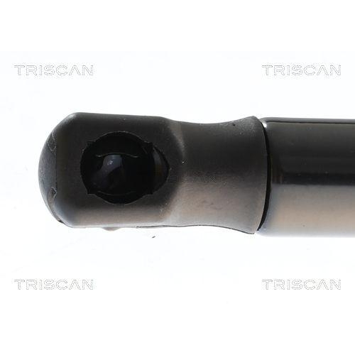 Gasfeder, Koffer-/Laderaum TRISCAN 8710 43309 für KIA, hinten links