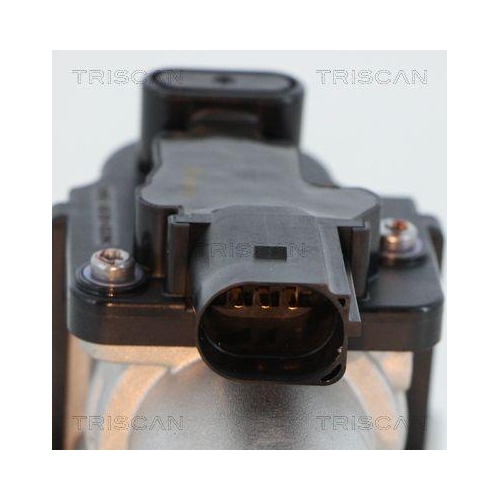 AGR-Ventil TRISCAN 8813 18045 f&uuml;r HYUNDAI KIA