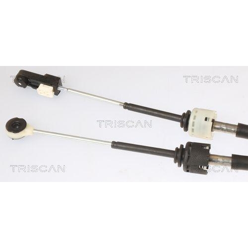 Seilzug, Schaltgetriebe TRISCAN 8140 25717 für RENAULT